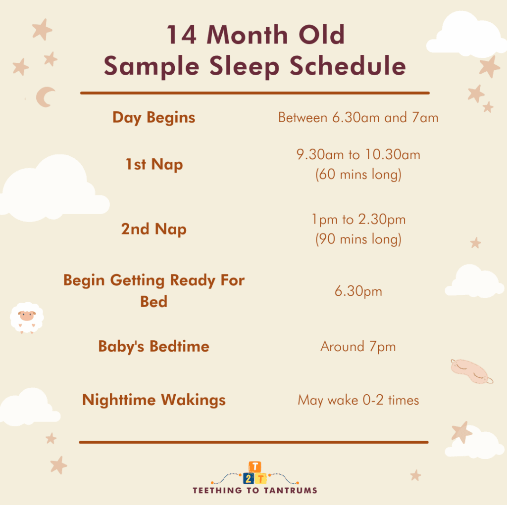14 Month Old Sleep Schedule The Complete Guide