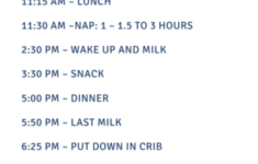 18 Month Old Baby Sleep Schedule Sample Schedule Included
