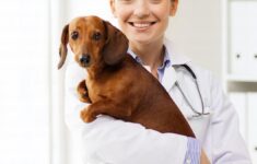 2017 Animal Health Wellness Awards Packages By AI Global Media Issuu