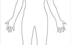 23 Human Body Templates DOC PDF PPT