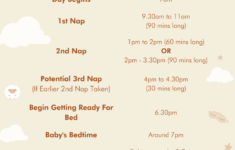 8 Month Old Sleep Schedule The Secret To Peaceful Nights