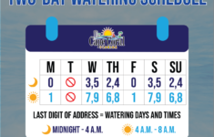 A Cape Coral Family Does Its Part To Conserve Water