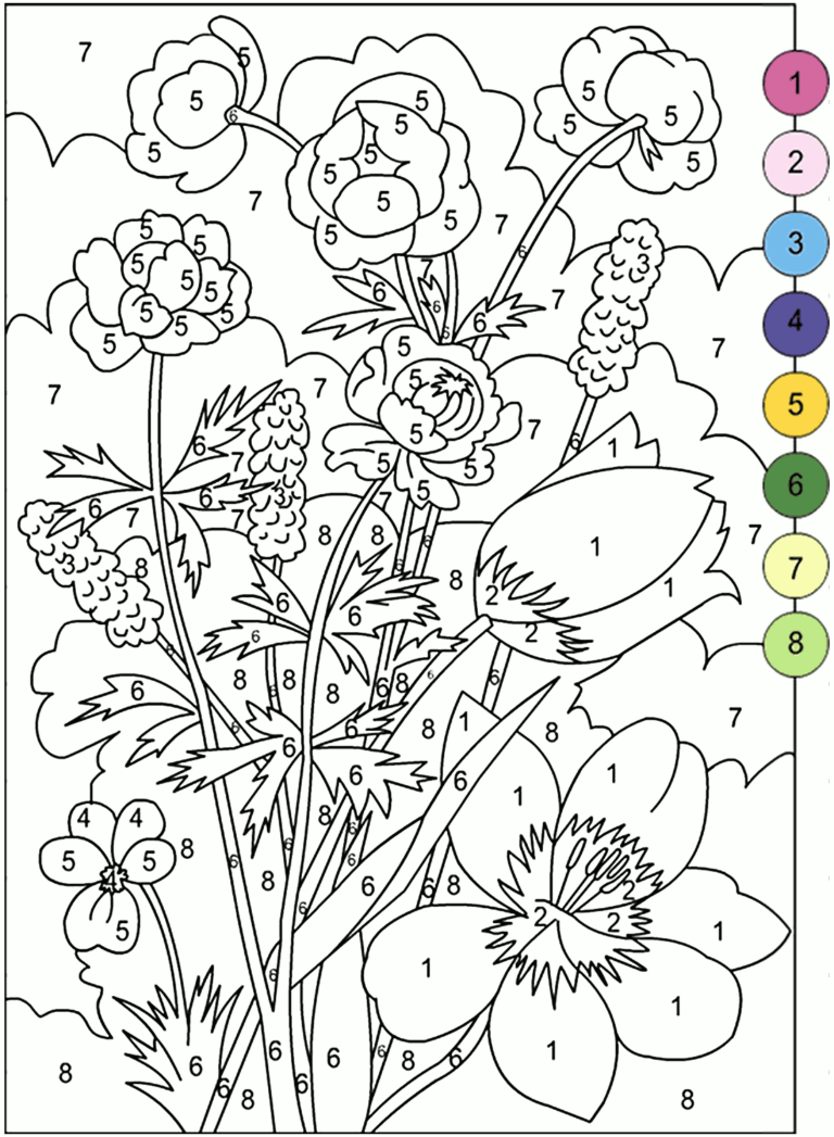 Adult Color By Number Books AdultcoloringbookZ