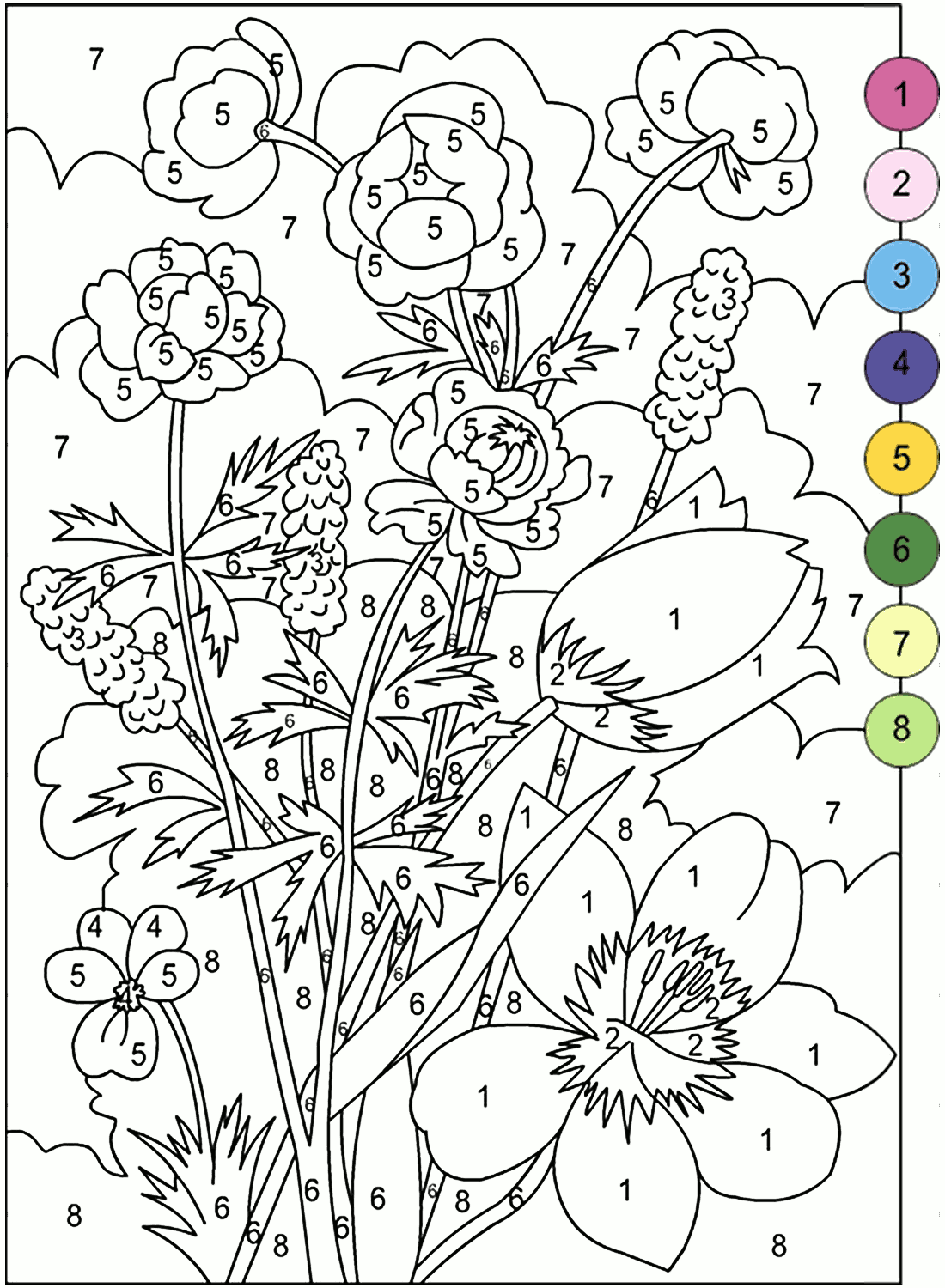 Adult Color By Number Books AdultcoloringbookZ