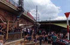 Average Salary Ceo Non Profit Organization Trashman Salary