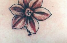 Awasome December Birth Flower Tattoo Ideas 2022 Chic Way