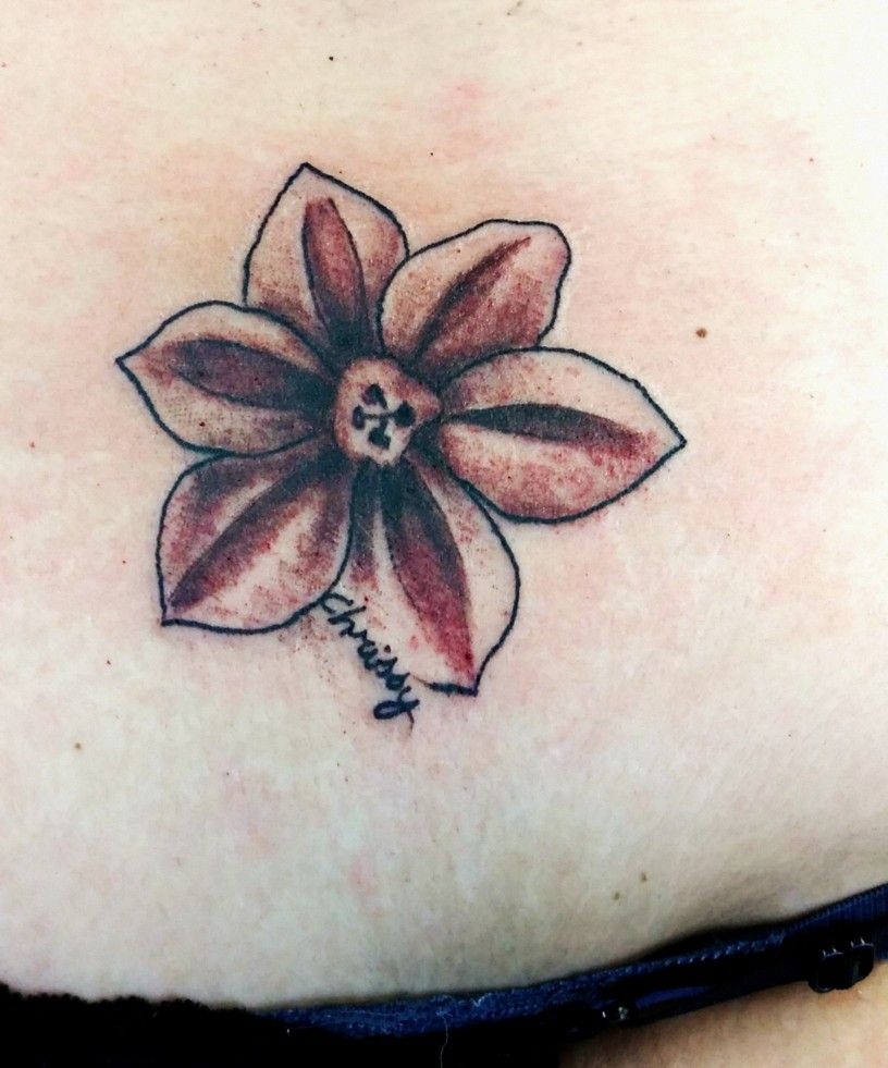 Awasome December Birth Flower Tattoo Ideas 2022 Chic Way