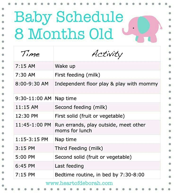Baby Schedule Baby Schedule 8 Month Old Baby Baby Routine
