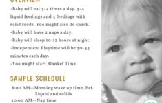 Babywise Sample Schedules Ten Months Old Babywise Mom