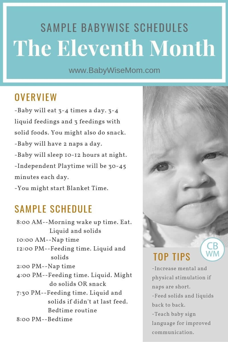 Babywise Sample Schedules Ten Months Old Babywise Mom