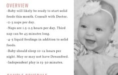 Babywise Sample Schedules The 7th Month Babywise Mom Baby Sleep