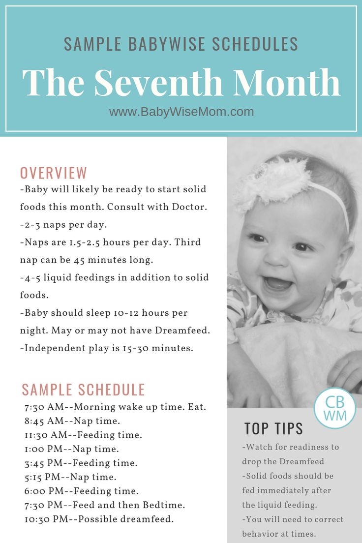 Babywise Sample Schedules The 7th Month Babywise Mom Baby Sleep 