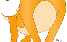 Birthday Party Games For Kids The Donkey Kids Party Games