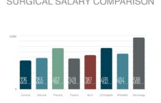 Cardiac Surgeon By Shelby Nicolau