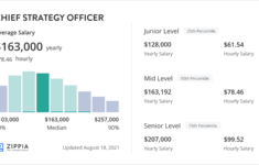 Chief Strategy Officer Salary April 2022 Zippia Average Chief