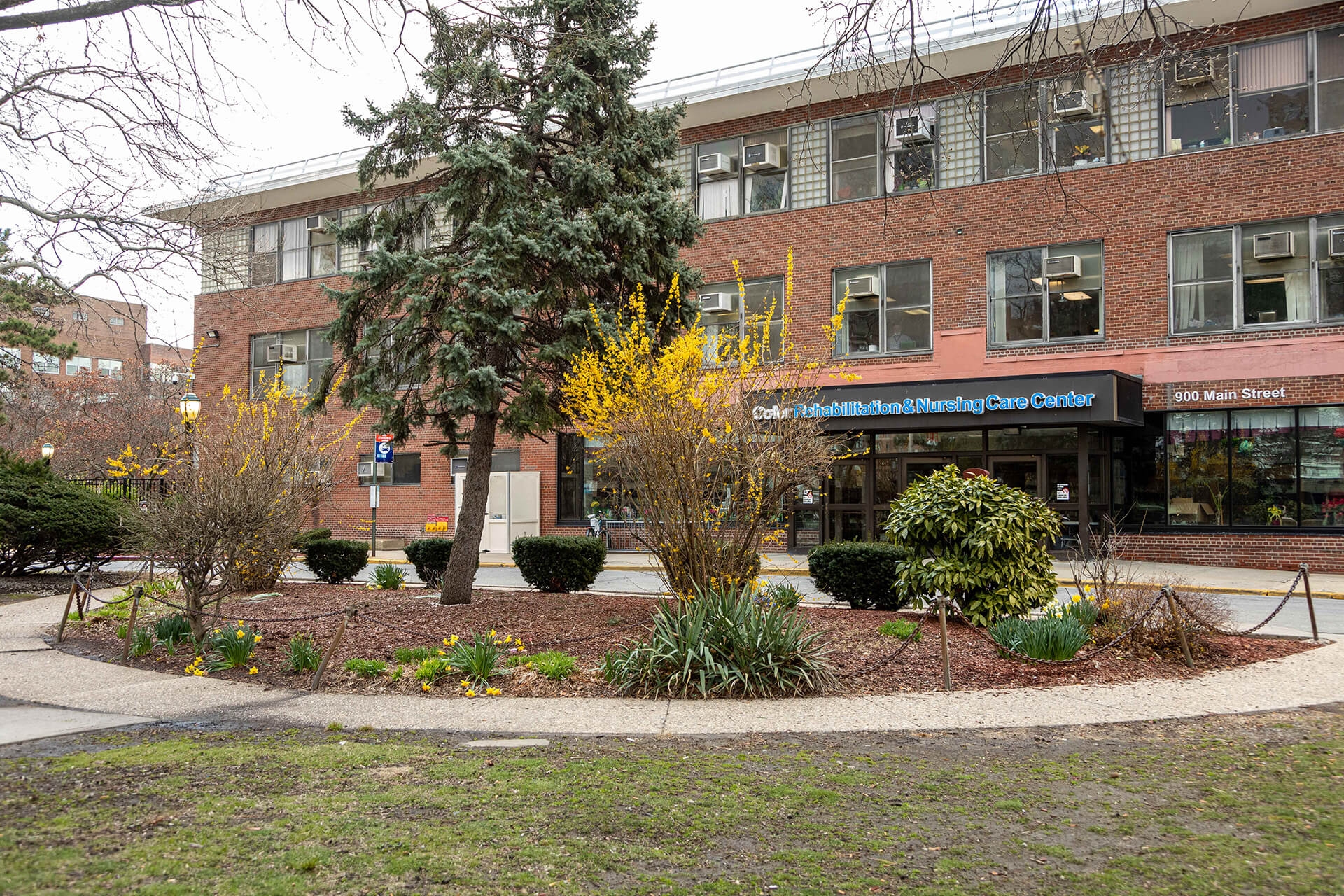 Coler Goldwater Lpn Program