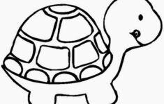 Coloring Pages Turtles Free Printable Coloring Pages