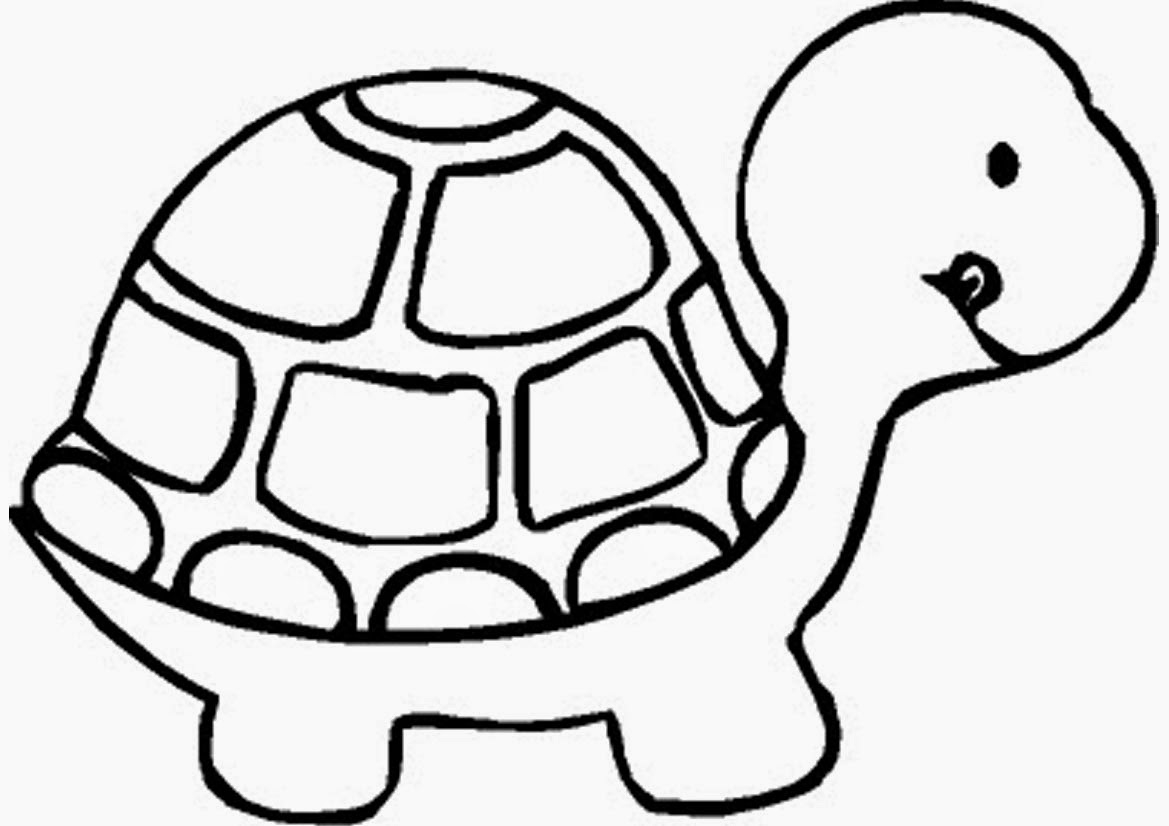 Coloring Pages Turtles Free Printable Coloring Pages