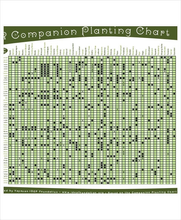 Companion Planting Chart 9 Free Excel PDF Documents Download Free 