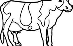 Cow Coloring Pages For Adults At Getcoloringscom Free Printable Cow