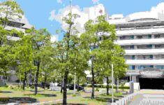 Denso Family Health Center Patient Portal