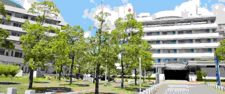 Denso Family Health Center Patient Portal