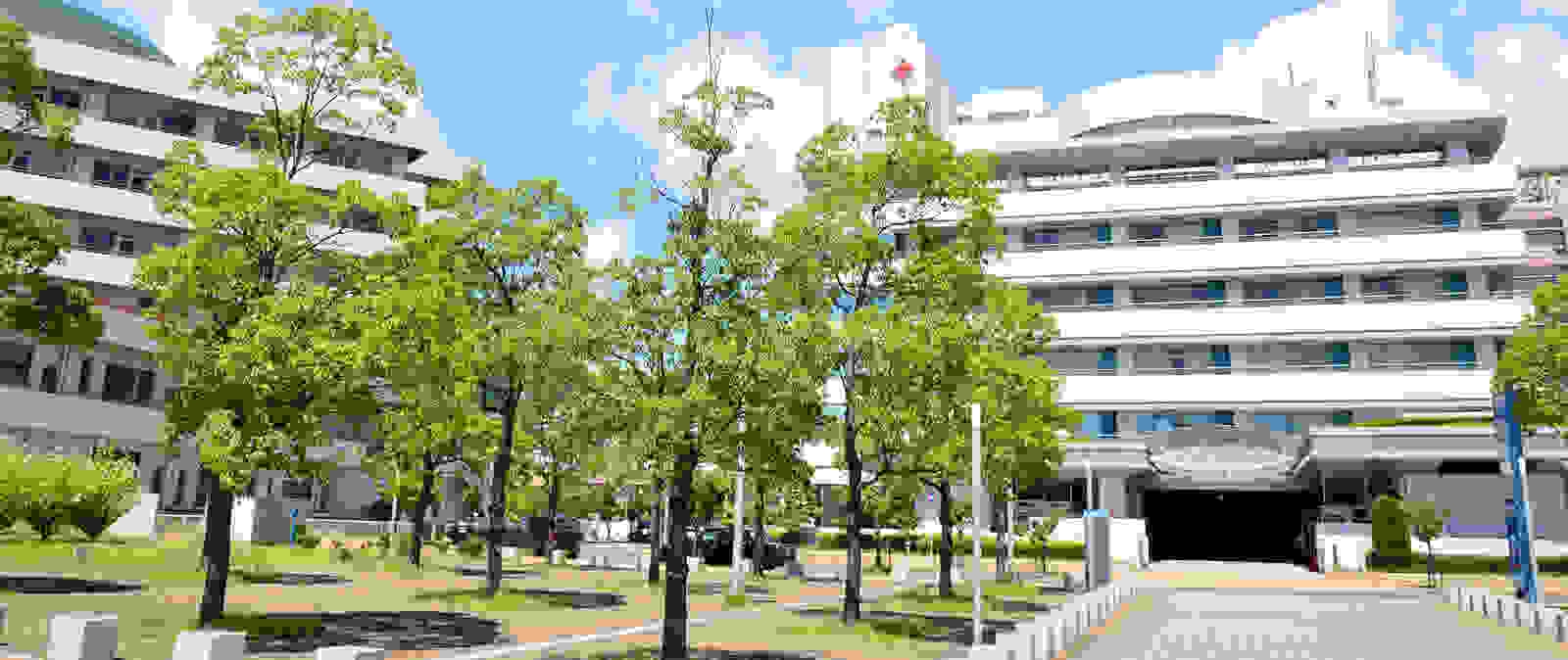 Denso Family Health Center Patient Portal