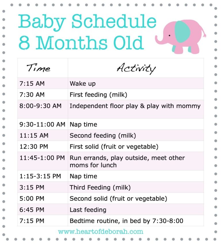 Discover A New 8 Month Old Schedule For Your Baby Samples Included 