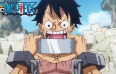 Fakta One Piece Anime Dub Schedule Referensi News