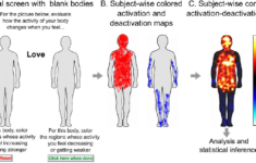 Figure 1 From Bodily Maps Of Emotions Are Culturally Universal