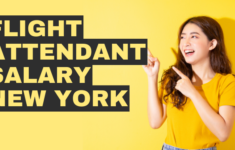 Flight Attendant Salary New York Jobpings