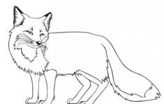 Free Printable Fox Coloring Pages For Kids