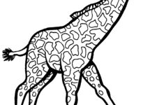 Free Printable Giraffe Coloring Pages For Kids
