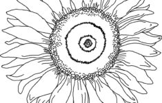 Free Printable Sunflower Coloring Pages For Kids