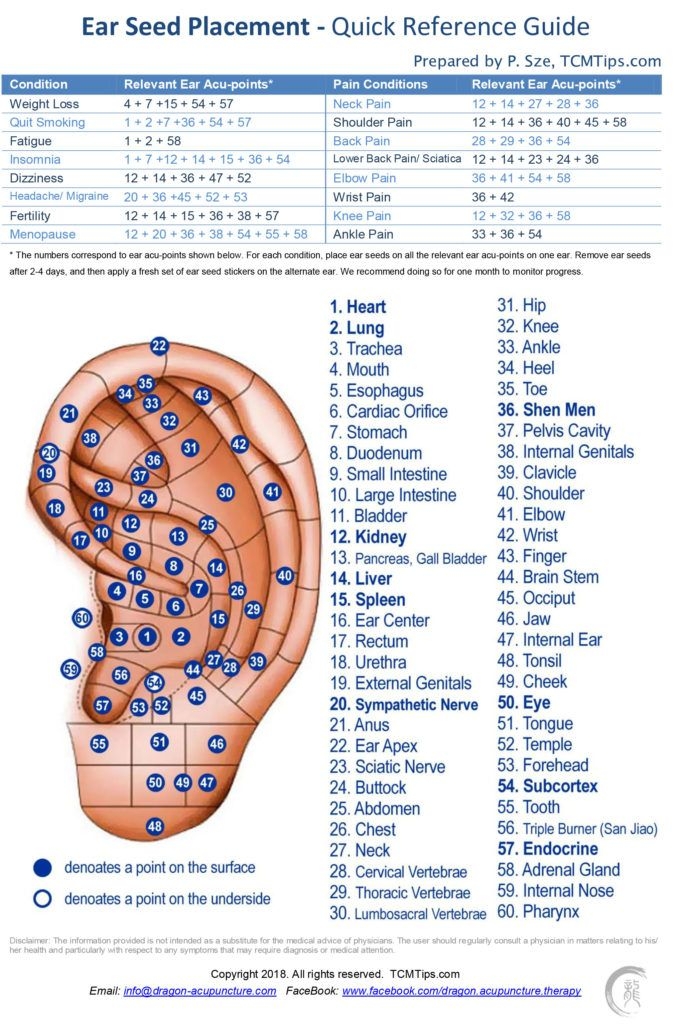 Get FREE Ear Seed Placement Cheat Sheet 60 Essential Auricular Points 