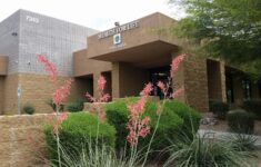 Health For Life Ellsworth WeedNetwork