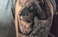 Lion Cubs Tattoo By Marius Limited Availability At New Testament Tattoo