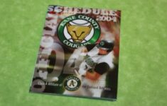 Minor League Baseball Pocket Schedule 2004 Kane County Cougars EBay