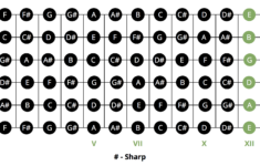 Most Popular Beginner Guitar Chords Chart Musician Tuts