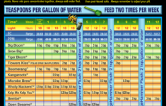 Mother Plant Feeding Schedule MOTHERSC