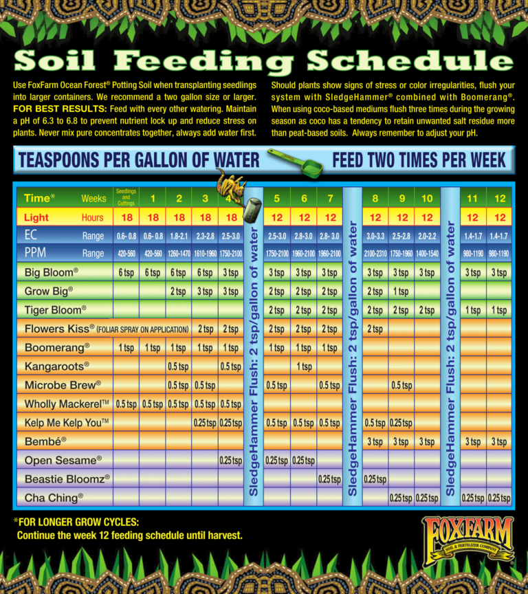Mother Plant Feeding Schedule MOTHERSC