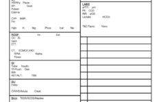 Nursing Report Sheet Printable Pdf Download