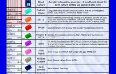 Pin By Evelyn Mulero On Medical Phlebotomy Phlebotomy Study