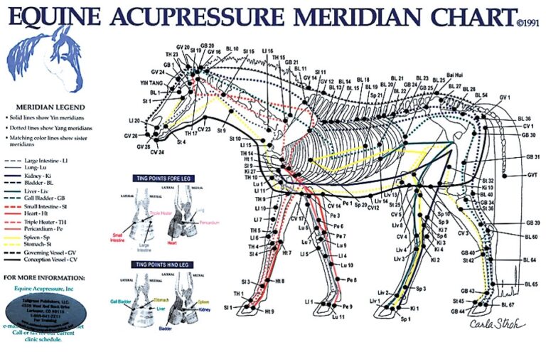 Printable 12 Meridians Chart Ubicaciondepersonas cdmx gob mx