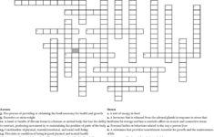 Printable Health Crossword Puzzles Printable Crossword Puzzles