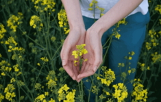 Solidago Health And Rehabilitation Reviews Contents Gallery