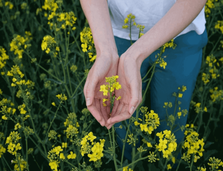 Solidago Health And Rehabilitation Reviews Contents Gallery