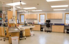 SOUTH COASTAL ANIMAL HEALTH 16 Photos 55 Reviews 1389 Main St