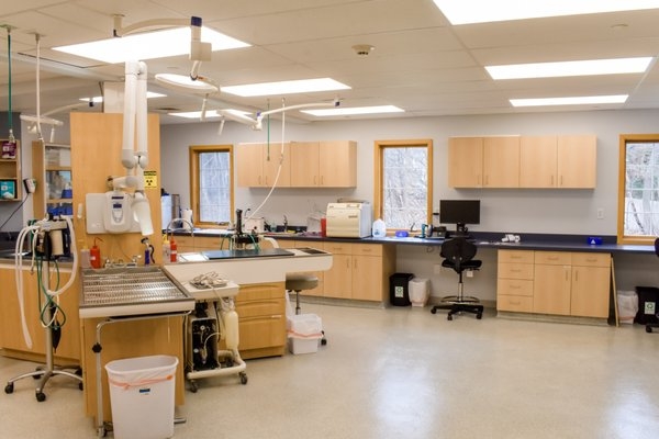 SOUTH COASTAL ANIMAL HEALTH 16 Photos 55 Reviews 1389 Main St 