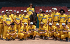 Team The Savannah Bananas Savannah Chat Teams Thomas University